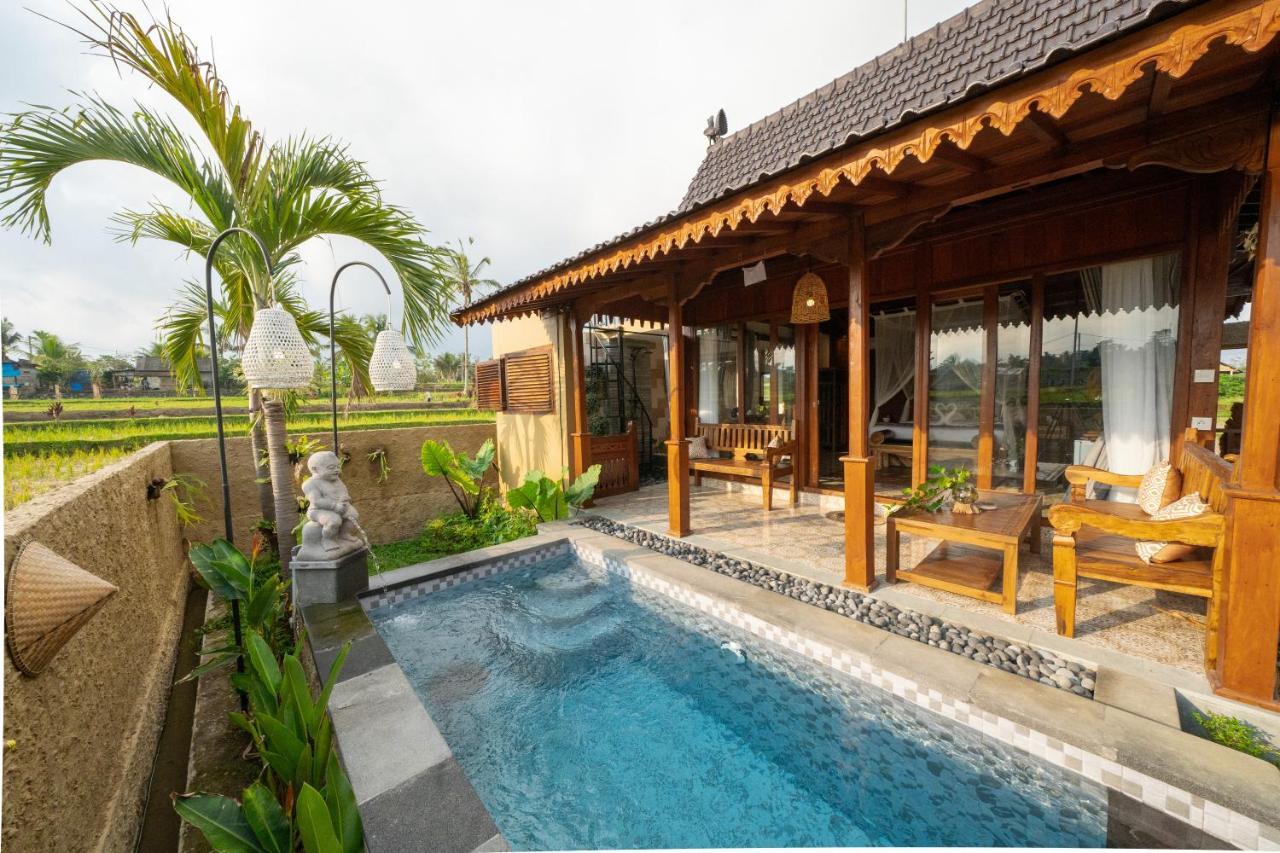 Barong Bali Villas Ubud  Ngoại thất bức ảnh