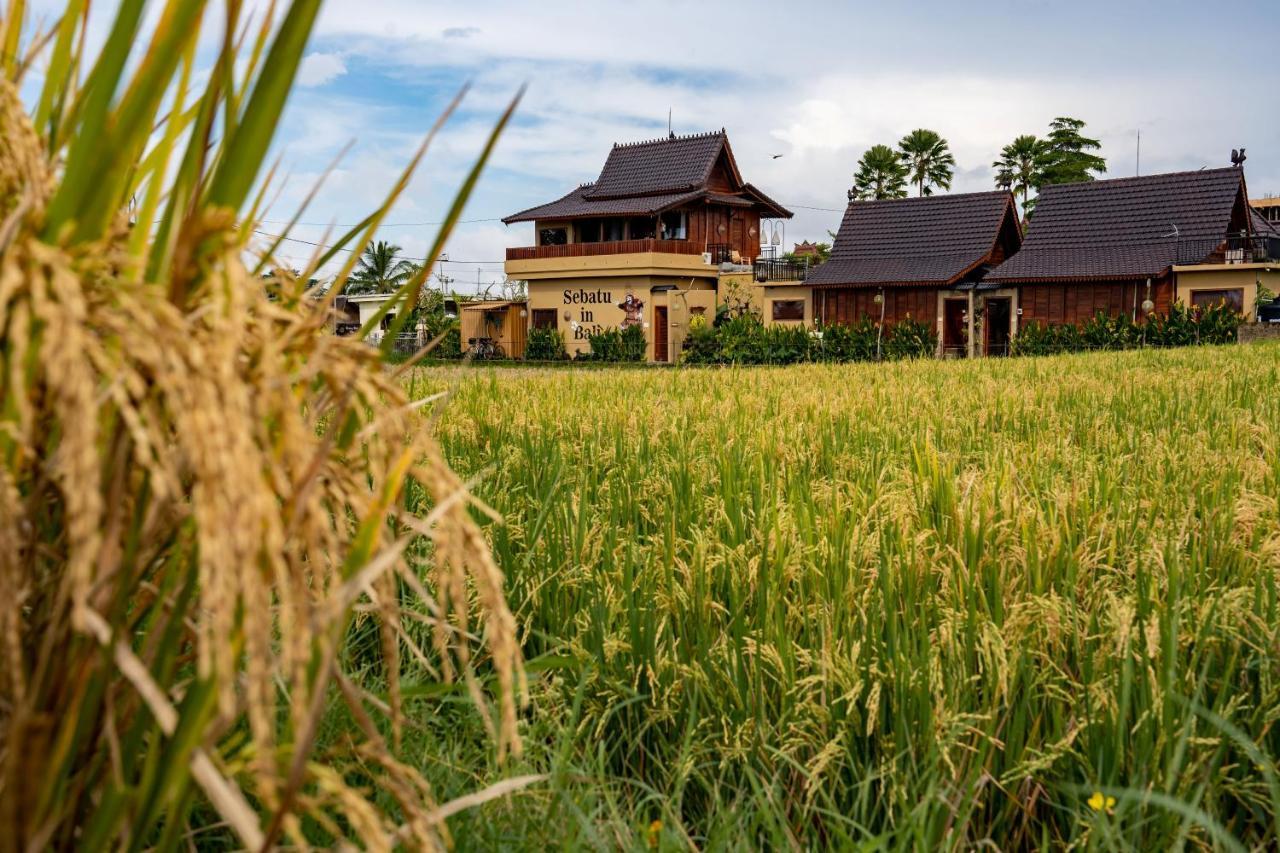 Barong Bali Villas Ubud  Ngoại thất bức ảnh