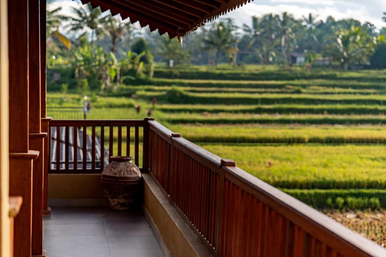 Barong Bali Villas Ubud  Ngoại thất bức ảnh