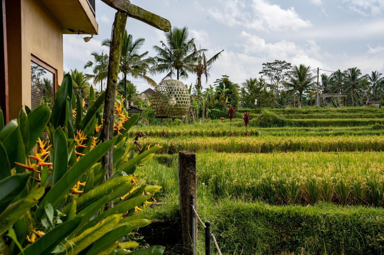 Barong Bali Villas Ubud  Ngoại thất bức ảnh